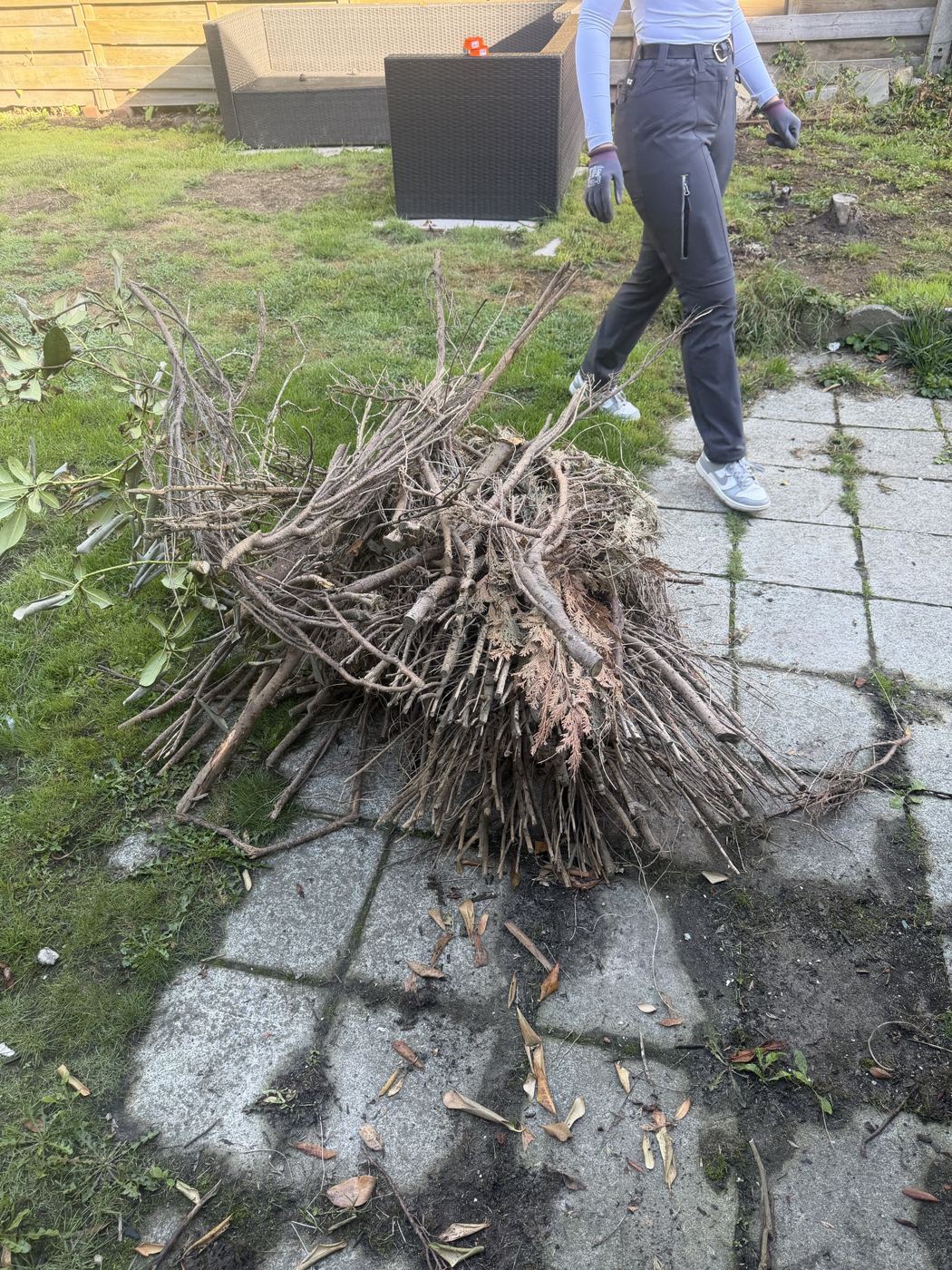 Stapel snoeihout klaar om afgevoerd te worden